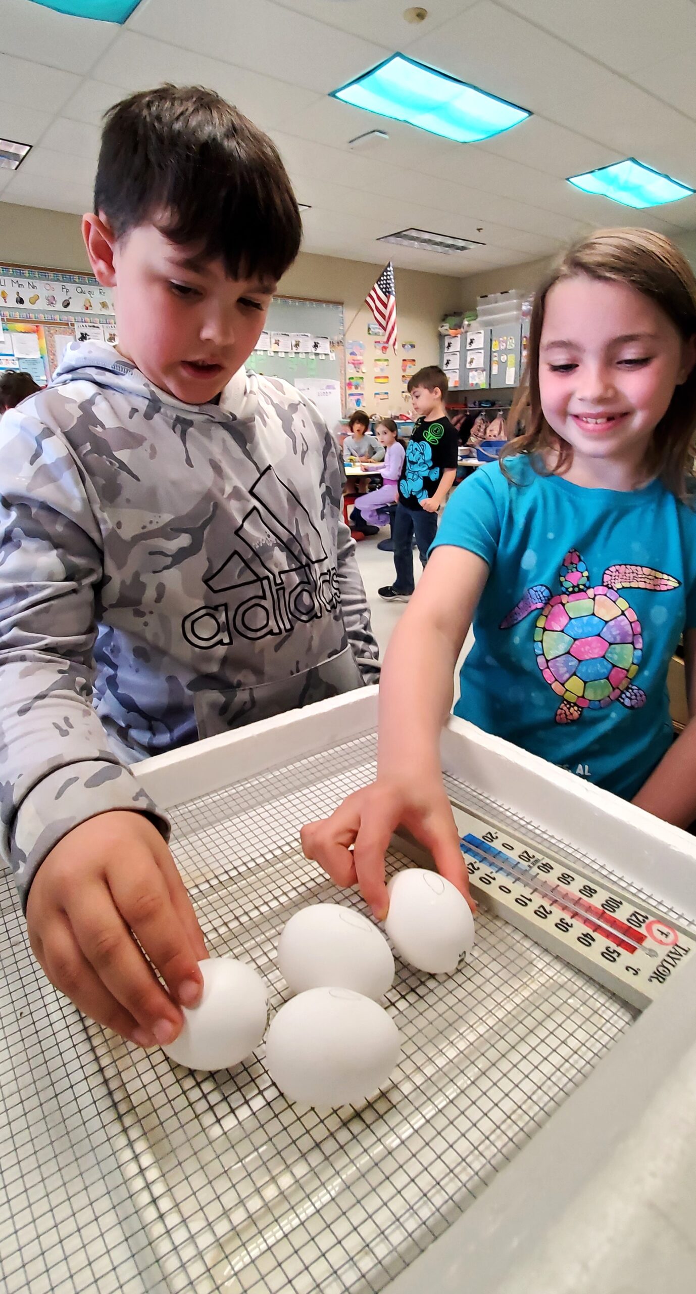 Spring Is Hatching Classroom Elementary students learn about hatching eggs | News, Sports, Jobs ...
